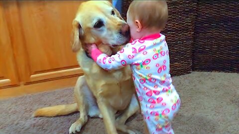 Cute Babies Playing With Dogs Compilation | Funny Baby And Pets