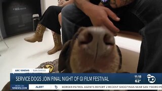 Service dogs join final night of GI Film Festival