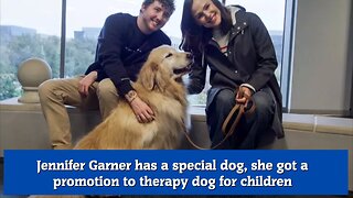 Jennifer Garner has a special dog, she got a promotion to therapy dog for children