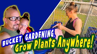 How to Grow in a Small Area, CHEAP and EASY BUCKET GARDENING | DIY