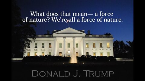 Donald Trump Quotes - What does that mean...