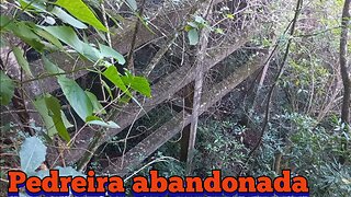 a natureza retomando seu lugar em uma pedreira abandonada em Dois Irmãos/RS