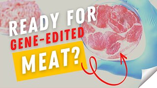The FIRST CRISPR Gene Edited Meat CEO is RESETTING SCIENCE!!!