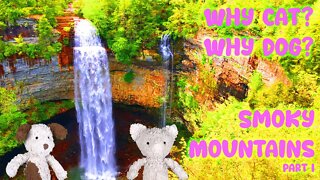 Cat and Dog Visit the Smoky Mountains Part I