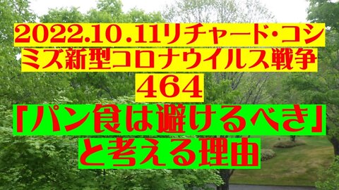 2022.10.11 リチャード・コシミズ新型コロナウイルス戦争４６４