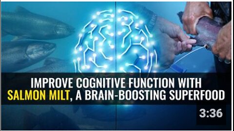 Improve cognitive function with salmon milt, a brain-boosting superfood