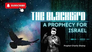 Israel Prophecy | Prophet Charlie Shamp #israel #israelwar #prophecy