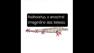 FARSA DA EVOLUÇÃO DAS BALEIAS- Entrevista do Dr Phil Gingerich sobre o Rodhocetus. (Legendado)