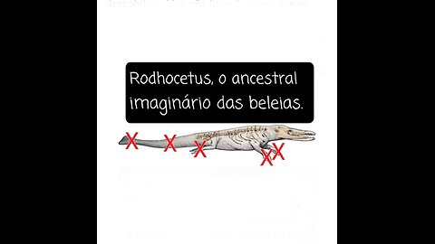 FARSA DA EVOLUÇÃO DAS BALEIAS- Entrevista do Dr Phil Gingerich sobre o Rodhocetus. (Legendado)