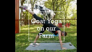 Goat Yoga on Our Farm