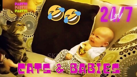 Funny Cats & laughing Babies So Cute 😂😂