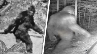 Mysterious Bigfoot Sightings Scientists Can Not Explain