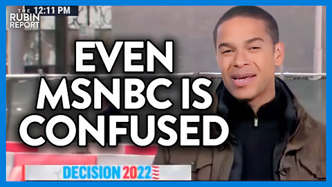 Watch Election Official Stun MSNBC w/ Insane Take on Vote Counting | DM CLIPS | Rubin Report