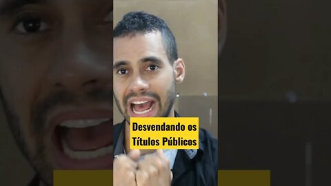 Desvendando os Títulos Públicos Como Funciona o Tesouro Direto