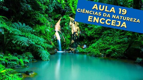 🌳 FOTOSSÍNTESE - Ciências da Natureza e suas Tecnologias - ENCCEJA - [Ensino Médio] - Aula 19