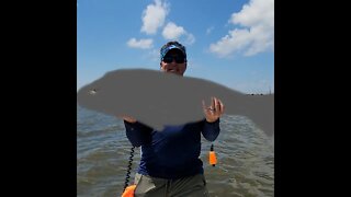 This MASSIVE BEAST Broke the Net!! #saltlife #fishing #shorts #fishingvideo #louisiana