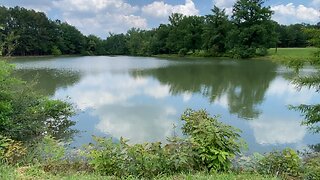 Looking At the Lake