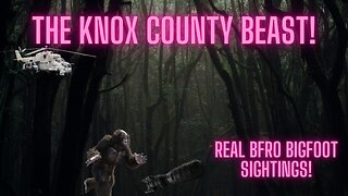 All Knox County, Indiana BFRO Bigfoot Reports