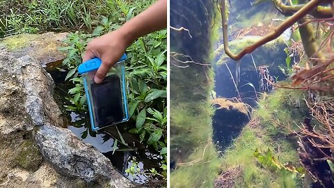 Shallow water footage reveals breathtaking new world