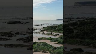 Birling Gap Beach Eastbourne England UK