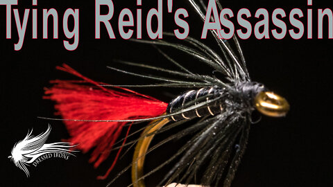 Tying The Reid's Assassin - Dressed Irons