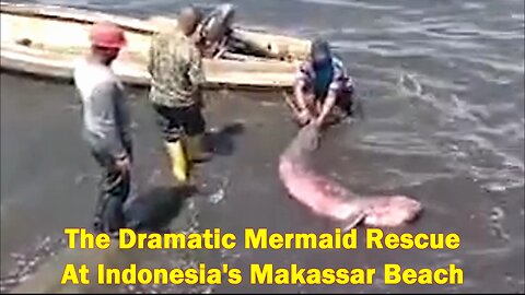 The Dramatic Mermaid Rescue at Indonesia's Makassar Beach