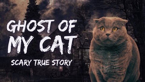 Visit by Ghost of my Cat - True Scary Stories