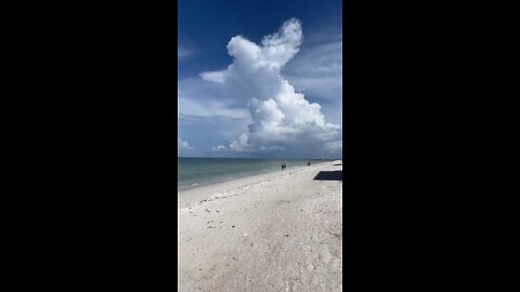 Livestream Clip - Eagle Cloud On Little Hickory Beach