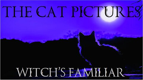 The Cat Pictures - Witch's Familiar