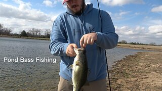 Pond Bass Fishing