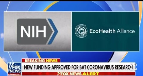 NEW: NIH Awards $653K to EcoHealth Alliance for Bat Coronavirus Research
