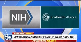 NEW: NIH Awards $653K to EcoHealth Alliance for Bat Coronavirus Research