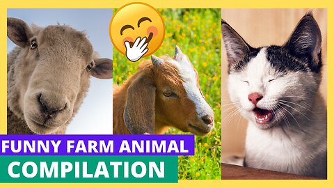 The Most Hilarious Farm Animals Ever! | Nonstop Laughter Guaranteed! |