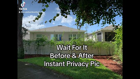 Before & After Privacy Pictures In Orlando Florida