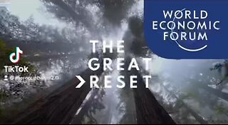 Do You See What I See? (The Great Reset)