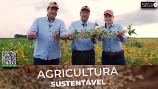 As pesquisas de novas cultivares de soja da FT Sementes no Piauí apontam para aumento na produção