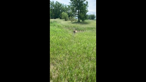 Mud bath with soothing bird sounds