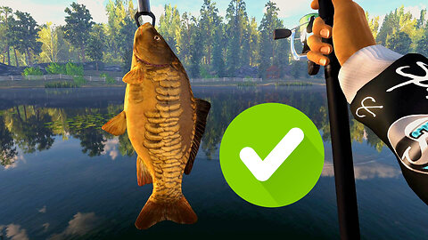 Catch a couple of carps, Stuffed Carps, Fishing Planet pc