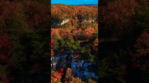 #amazing#nature#naturelovers#naturephotography#autumn#arielview#forestinautumn