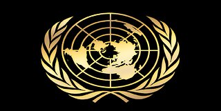 The U.N. Agenda 2048