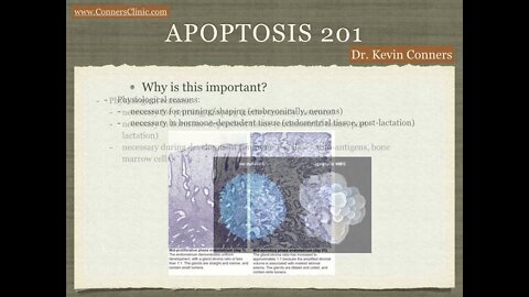 Apoptosis 201