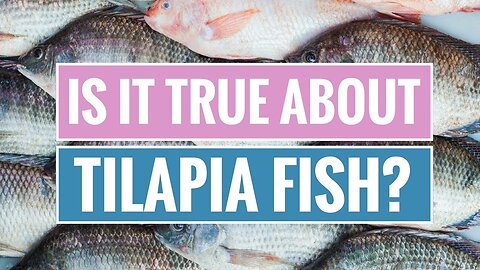 Why You Should Avoid Eating Tilapia!