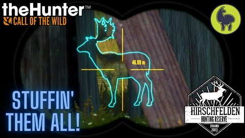 The Hunter: Call of the Wild, Fleischer- Stuffin' them All! Hirschfelden (PS5 4K)