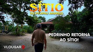 MEMÓRIAS DO SÍTIO DO PICAPAU AMARELO | PEDRINHO RETORNA AO SÍTIO - MARCELLO PATELLI