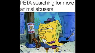 Normal twitter experience 10 (peta edition)
