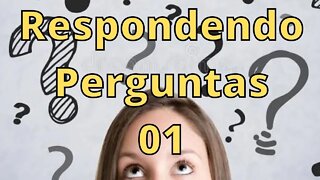 Respondendo Perguntas 01