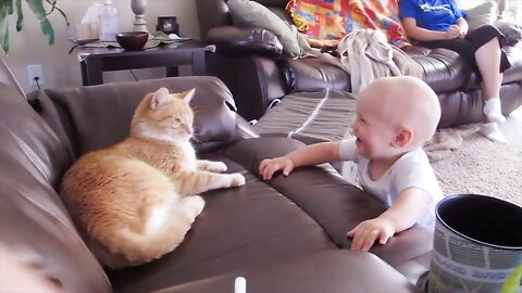 Baby And Cat Fun And Cute - Funny Baby Videos