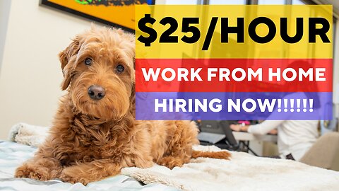 Make $25 per hour in these work from home jobs