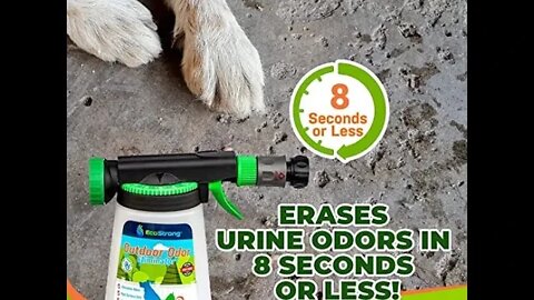 Dog Urine Enzyme Cleaner | Funny cute pets lovers | #Shorts |link in the description