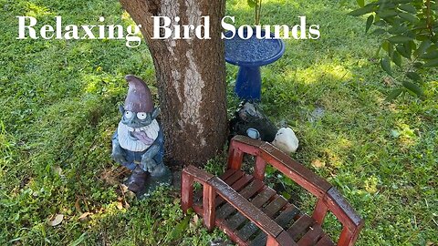 Zombie Garden Gnome and Bird Sounds (Relaxing)